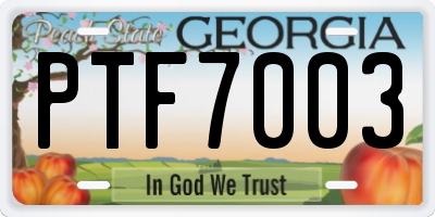 GA license plate PTF7003