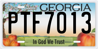 GA license plate PTF7013