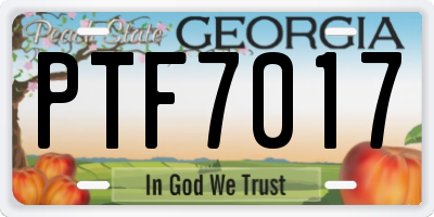 GA license plate PTF7017