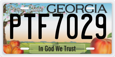 GA license plate PTF7029