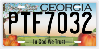 GA license plate PTF7032