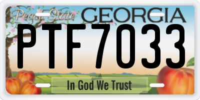 GA license plate PTF7033