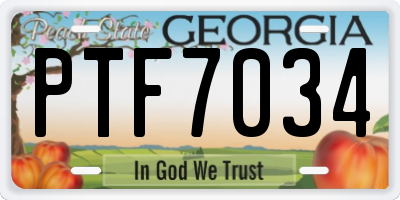 GA license plate PTF7034