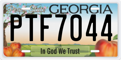 GA license plate PTF7044