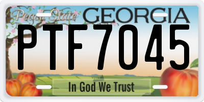 GA license plate PTF7045