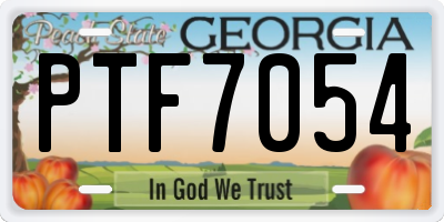 GA license plate PTF7054