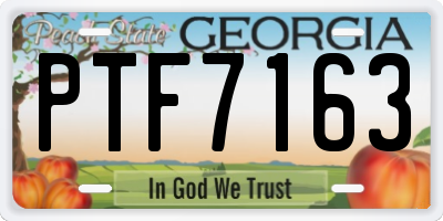 GA license plate PTF7163