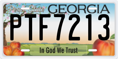 GA license plate PTF7213
