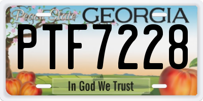 GA license plate PTF7228