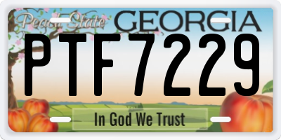 GA license plate PTF7229
