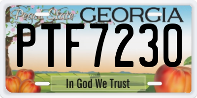 GA license plate PTF7230