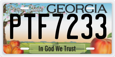 GA license plate PTF7233