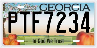 GA license plate PTF7234