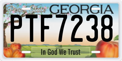 GA license plate PTF7238