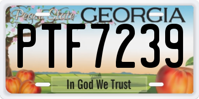 GA license plate PTF7239