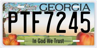GA license plate PTF7245