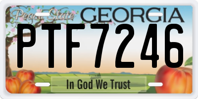 GA license plate PTF7246