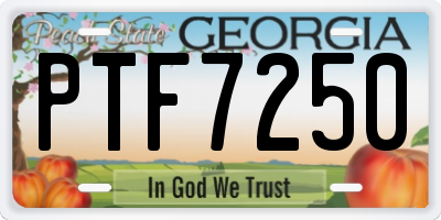 GA license plate PTF7250