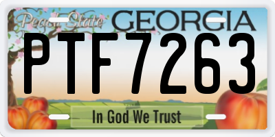 GA license plate PTF7263