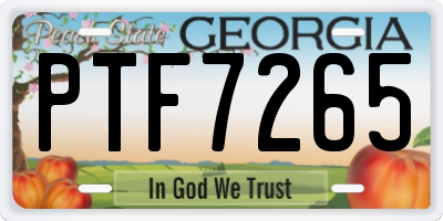 GA license plate PTF7265