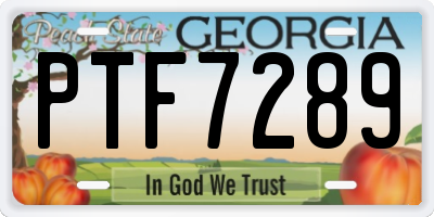 GA license plate PTF7289