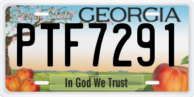 GA license plate PTF7291