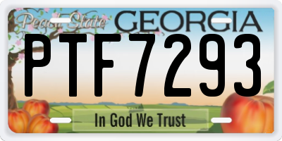 GA license plate PTF7293