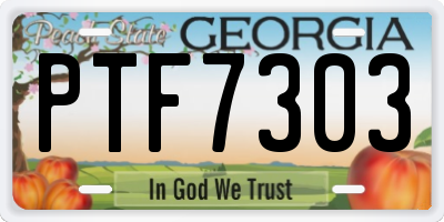 GA license plate PTF7303