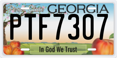 GA license plate PTF7307
