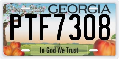 GA license plate PTF7308
