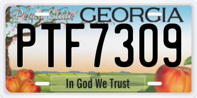 GA license plate PTF7309