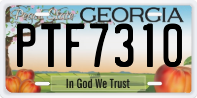 GA license plate PTF7310