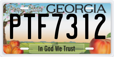 GA license plate PTF7312