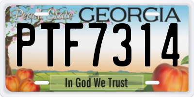 GA license plate PTF7314