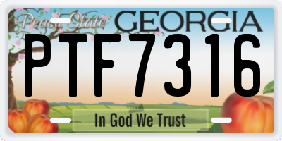 GA license plate PTF7316