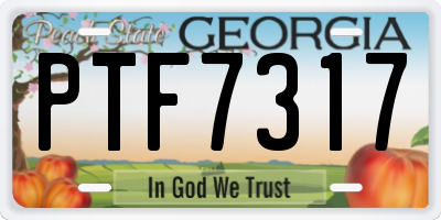 GA license plate PTF7317