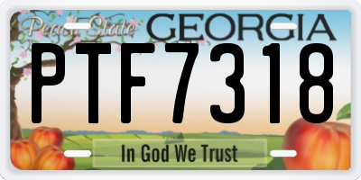 GA license plate PTF7318