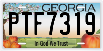 GA license plate PTF7319