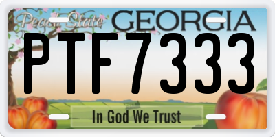GA license plate PTF7333