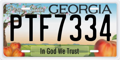 GA license plate PTF7334