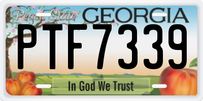 GA license plate PTF7339