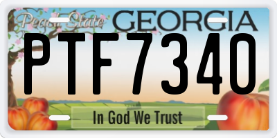 GA license plate PTF7340