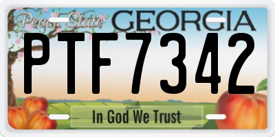 GA license plate PTF7342