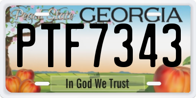 GA license plate PTF7343