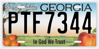 GA license plate PTF7344