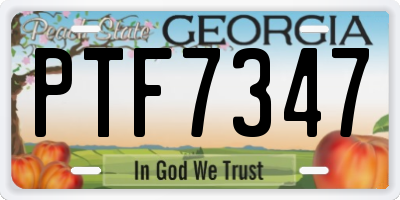 GA license plate PTF7347