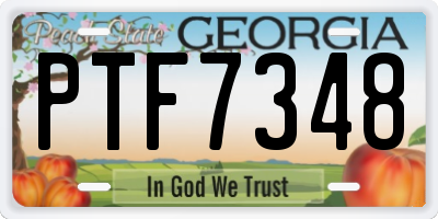 GA license plate PTF7348