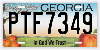 GA license plate PTF7349