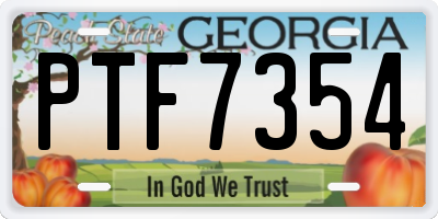 GA license plate PTF7354