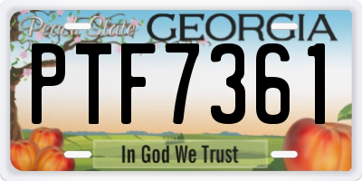 GA license plate PTF7361